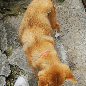 くるくるの画像