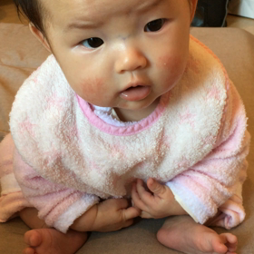 おすわりの画像