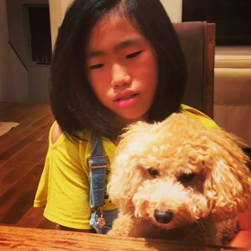 Malmö お誕生日おめでとうの画像