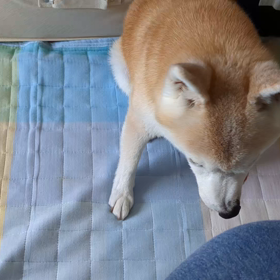 やっと涼しくなってきての画像