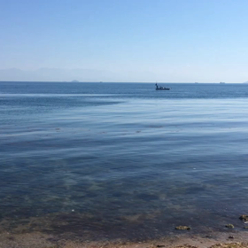 おはようございますの画像