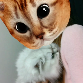 お母さんだよーの画像