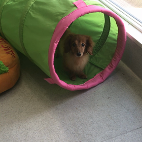 ♪年末年始のプレイルーム動画♪⑩の画像