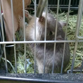 イナバウワー飲み！の画像