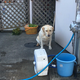 今日と明日の二回投稿です　^o^の画像