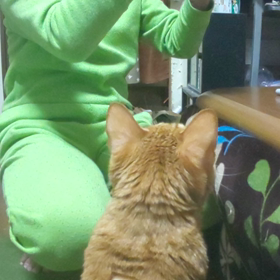 【動画】インシュリン注射の画像