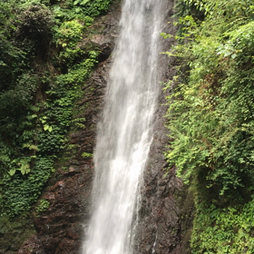 便乗編　その二　養老滝　涼しいの画像