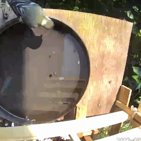 すぎぴたんの事件簿シーズン2　342話（ヨガ教室のシジュウカラ）の画像