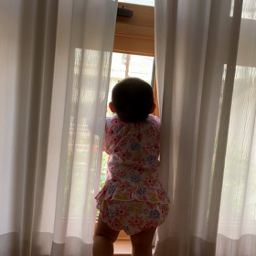 車ウォッチングの画像