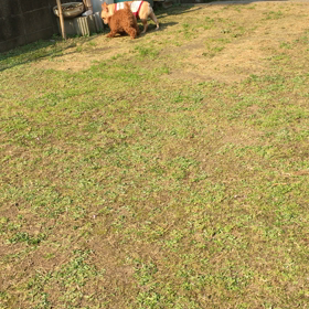 耐える男の画像