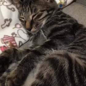 ７１日目 寝ぼけてる？の画像