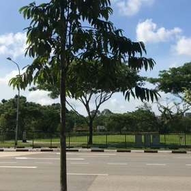 いい場所の画像