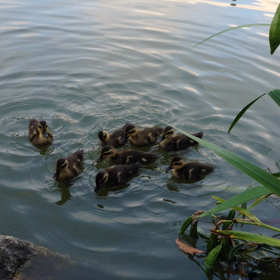 あかちゃんの画像