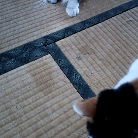 朝起きたら最初に何する？の画像