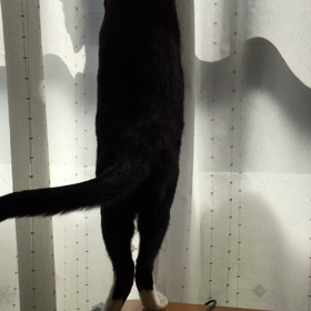 ルンルン♪の画像