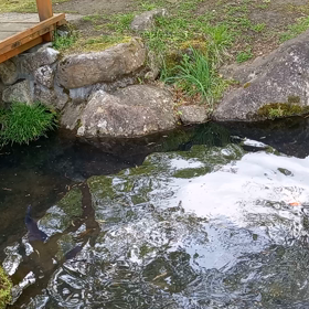 谷川岳を見に行ってきました①の画像