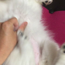 今日のそらの画像