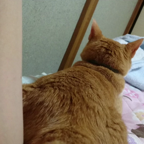 ふーりふーり))の画像