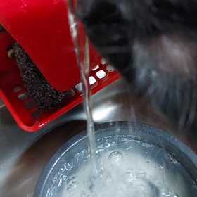 水道水大好きな奴┐(-。-;)┌の画像