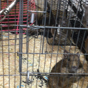 喧嘩はしないでね！の画像