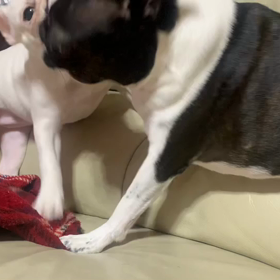 バトル。の画像