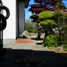 今日は気づかれませんでしたの画像