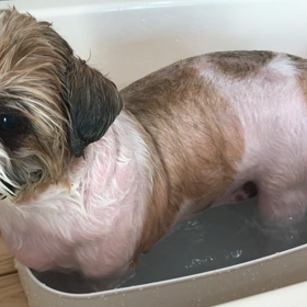 寒くてエアコンいれましたの画像