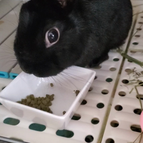 今日はお休みします。の画像