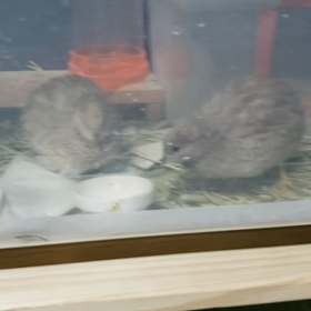 指遊び❗の画像