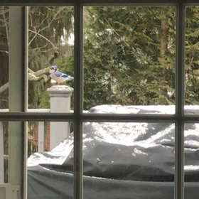 善意にケチつける面々の画像