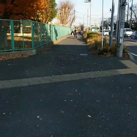 ロード練習男子後半の画像