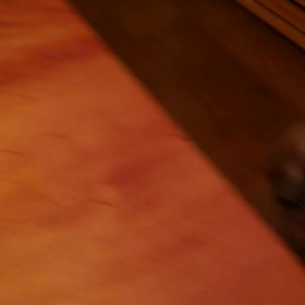 しょーがないの画像