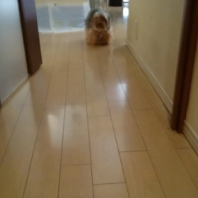 元気で何よりの画像