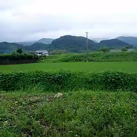 お昼の有線放送の画像