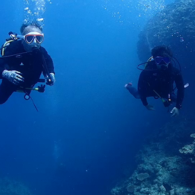 楽しいにゃ(ΦωΦ)の画像
