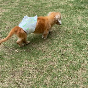 今日のパッチ♪の画像