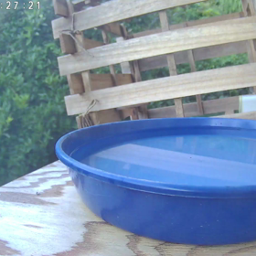 すぎぴたんの事件簿シーズン3　320話（珍しいお客様！　ウグイス様初来店！）の画像