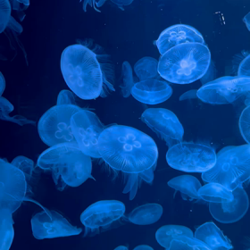 モユク札幌 AOAO その2の画像