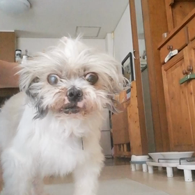 気持ちいい〜( ˘ ³˘)♥の画像