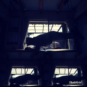 毎日励んでますm(_ _)mの画像