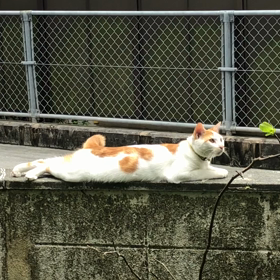 久々の小太郎くんの画像