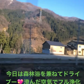 森林浴を兼ねてドライブーの画像