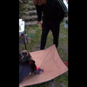 MAKUYAMA PARK BBQ PARTY 2019 -節子-。の画像