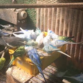 フライングルームの画像