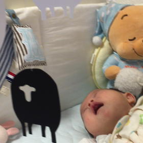 シープマンの画像