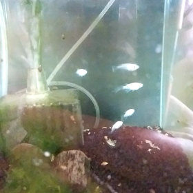 今シーズンの計画の画像