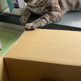 レオンの特技？の画像