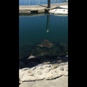 島トリップ　動画の画像