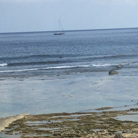 スーサイド波情報❗️《9/19》の画像