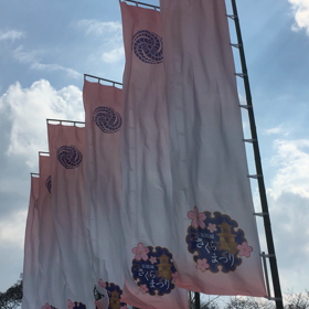 福岡城さくらまつりの画像